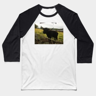 Scottish Highland Cattle Dark Black Bull 2089 Baseball T-Shirt